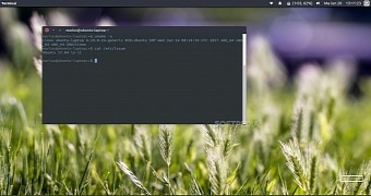 Ubuntu 17.04 running the latest Linux 4.10 kernel