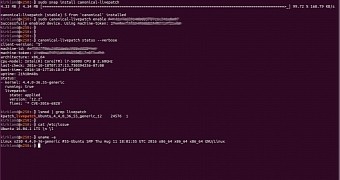 Installing kernel live patch on Ubuntu