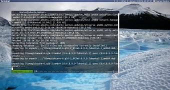 Updating ImageMagick in Ubuntu 16.04 LTS