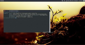Mesa 17.1.0 in Ubuntu 17.04