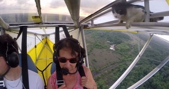 Cat crawls to safety in mid-flight, after pilot takes off with it on the wing of the aircraft
