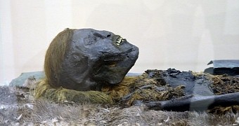 Photo shows one of the mummies recovered from the same site in recent years