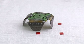 Check Out This Teeny Tiny 4-Gram "Tribot" Jump Because of Heat