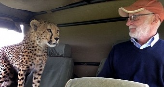 Man comes face to face with a cheetah