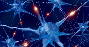 Researchers describe chemical cocktail designed to grow neurons