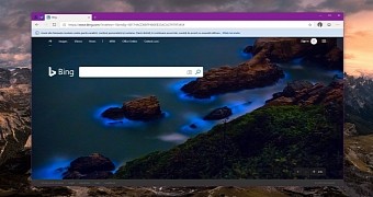 Chromium-based Microsoft Edge browser (Canary)