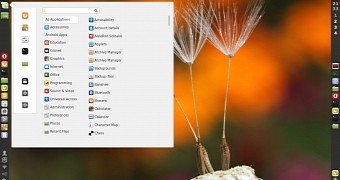 Cinnamon 3.2 desktop with vertical panels