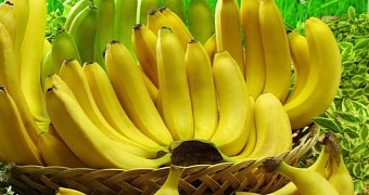 Study finds compound in bananas could help fight HIV and other viruses