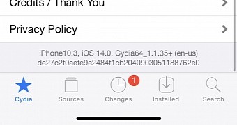 Cydia on iOS 14