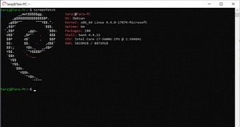 Debian GNU/Linux running on Windows 10