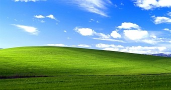 Windows XP Bliss wallpaper