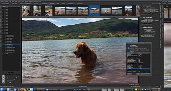 digiKam 5.4.0 Introduces a Complete Re-Write of Video File Support, Improvements