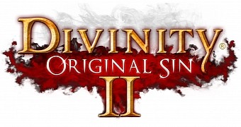 Divinity: Original Sin II is doing great on Kickstarter