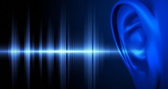 Realtek HD Audio for Windows 10 TH and RS