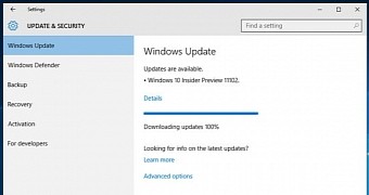 Windows update to build 11102