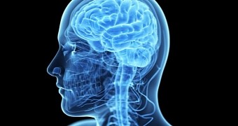 Drug Shown to Reduce Memory Loss in Alzheimer’s Disease