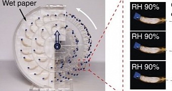 Evaporation Engines Built Using Artificial Muscles Made from Bacteria