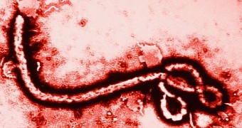 Experimental Ebola Vaccine Delivers 100% Protection in Trial
