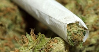 Traffickers mistakenly send weed to the wrong address