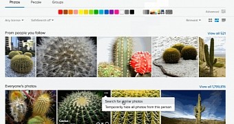 Flickr's new feature lets you search for similar pictures