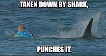 Mick Fanning shark jokes are all the rage right now online, after recent shark attack