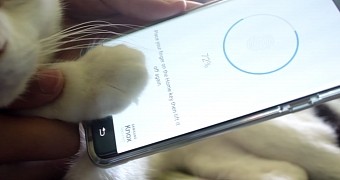 Cat paw unlocks Galaxy Note 7 phone