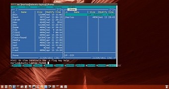GNU Midnight Commander 4.8.18 released