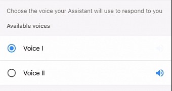 Google Voice options