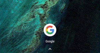 Google Chrome adaptive icons