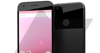 Purported image of Nexus smartphones
