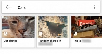 Albums in search results in Google Photos