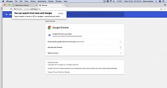 Google Chrome 62.0.3202.62