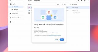 Google Teases New Way to Install Microsoft Office on Chromebooks