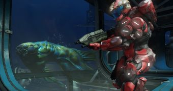 Expect fresh DLC for Halo 5 after its launch