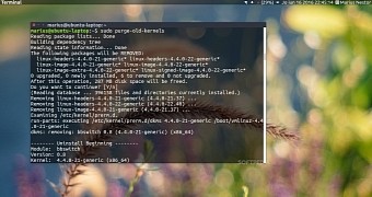 Using purge-old-kernels in Ubuntu 16.04 LTS