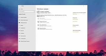 Windows Update in Windows 10 19H1