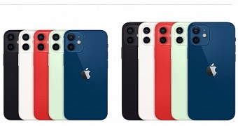 Two of the four iPhone 12 models launched this year