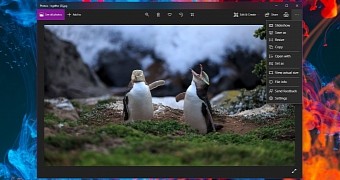 Searching for similar photos in Windows 10