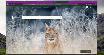 Mozilla Firefox Nightly with sound blocking option