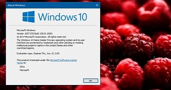 Windows 10 build 15019