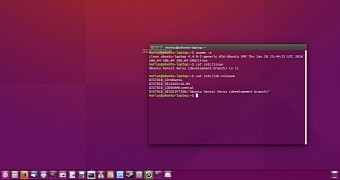 Ubuntu 16.04 LTS with bottom Unity Launcher