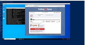 Running Folding@Home in the Windows Sandbox