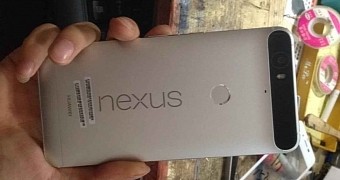 Leaked image of the Huawei Nexus