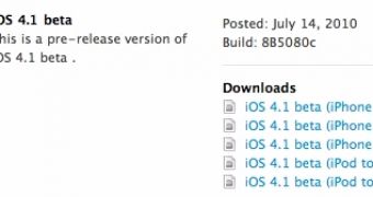 Screenshot showing the availability of iOS 4.1 Beta for developers