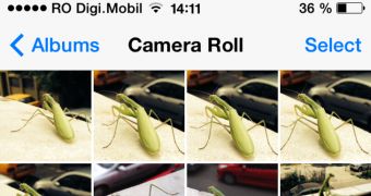 iOS 7 Camera/Photos bug