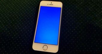 iPhone blue screen