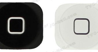 iPhone 5 home buttons