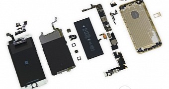 iPhone 6 Plus insights laid out flat