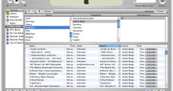 The interface of Apple's iTunes
