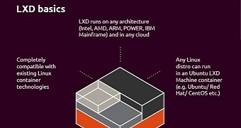 LXD infographic